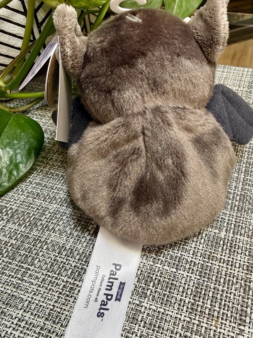 Luna Palm Pals Plush Bat Small Toy🦇Grey Brown Stuffy Fidget or Collectable - Picture 3 of 5